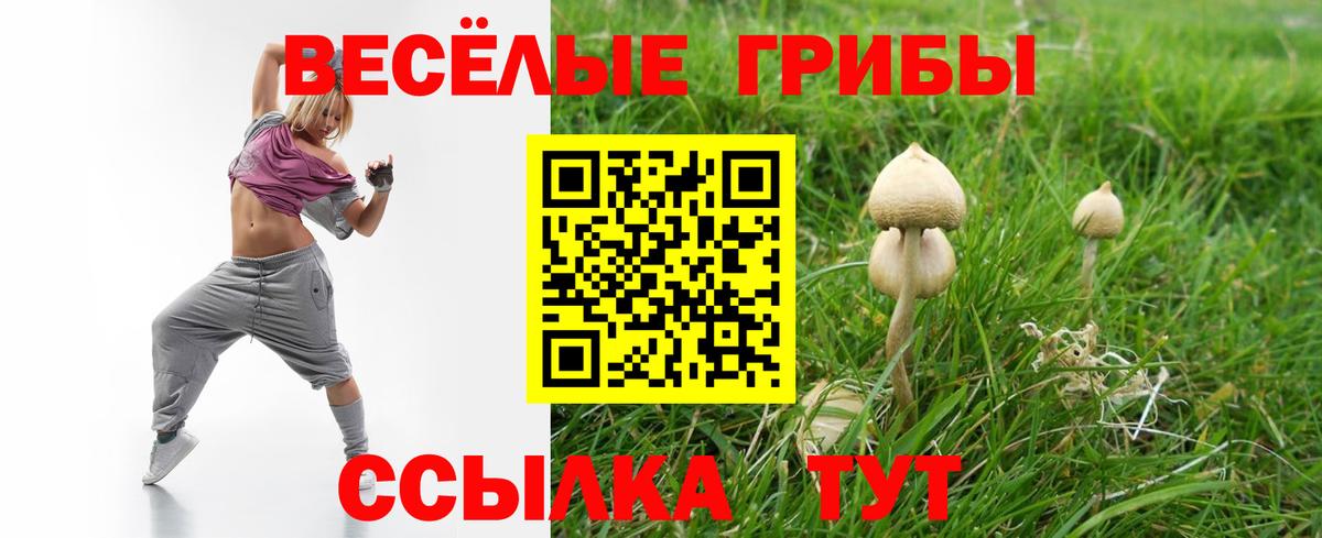 Псилоцибиновые грибы MAGIC MUSHROOMS Ивантеевка
