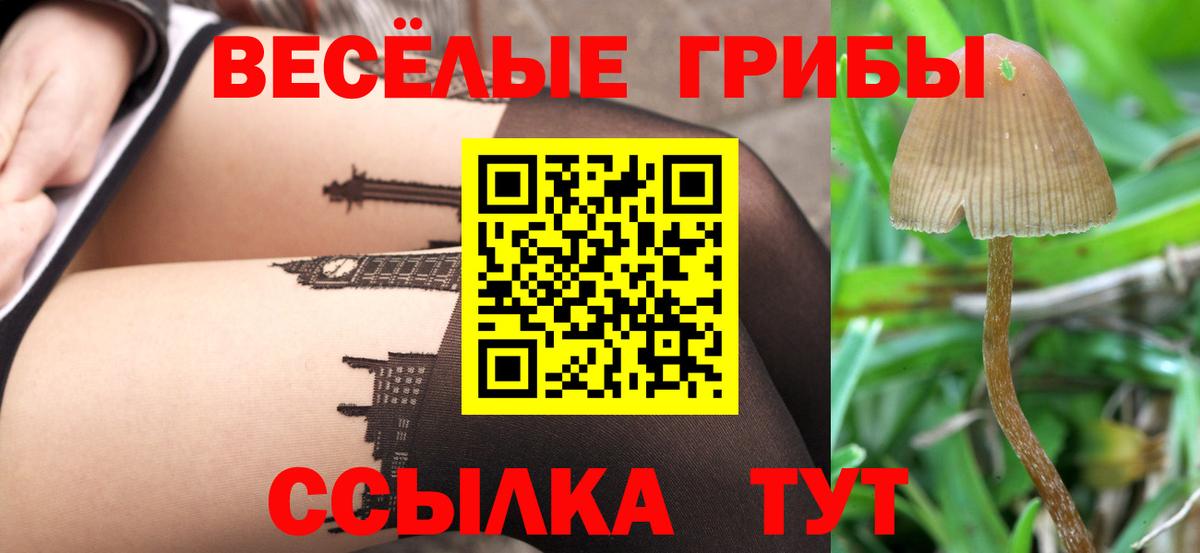 Ивантеевка  Галлюциногенные грибы MAGIC MUSHROOMS  Галлюциногенные грибы Psilocybe  Вход с VPN 